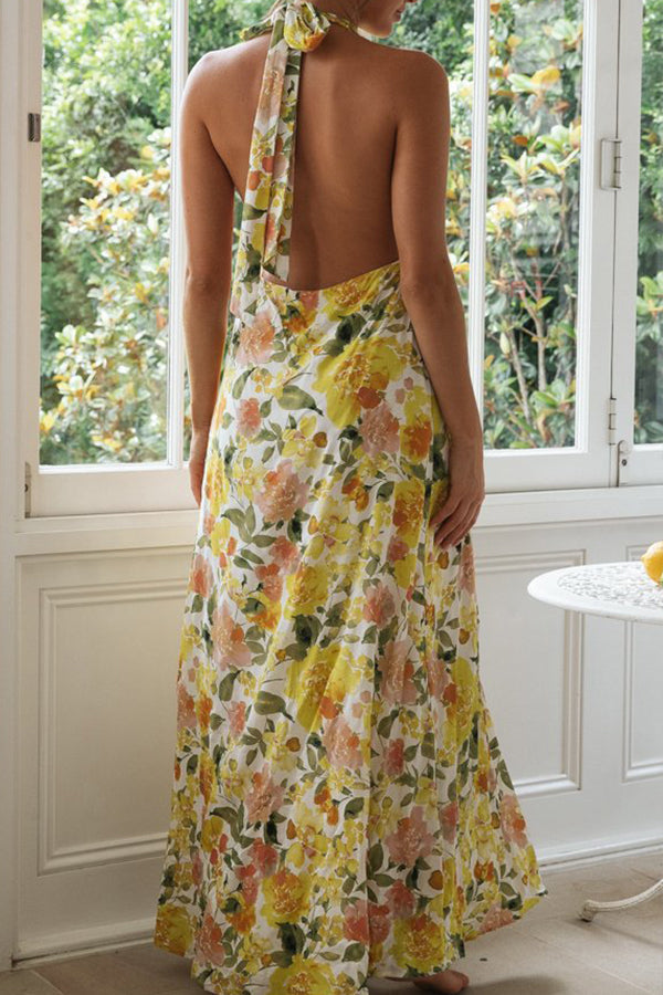 CD | Fashion halterneck rochie lungă fără spate
